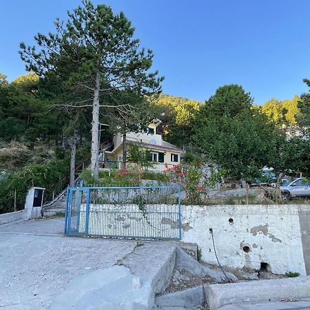 شقة Eagle'S Nest Palase المظهر الخارجي الصورة