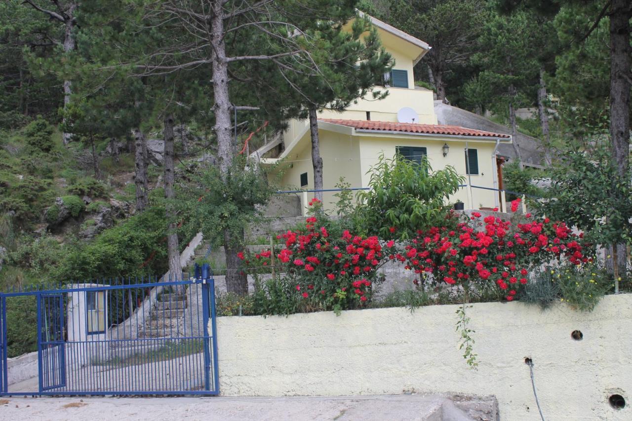 شقة Eagle'S Nest Palase المظهر الخارجي الصورة